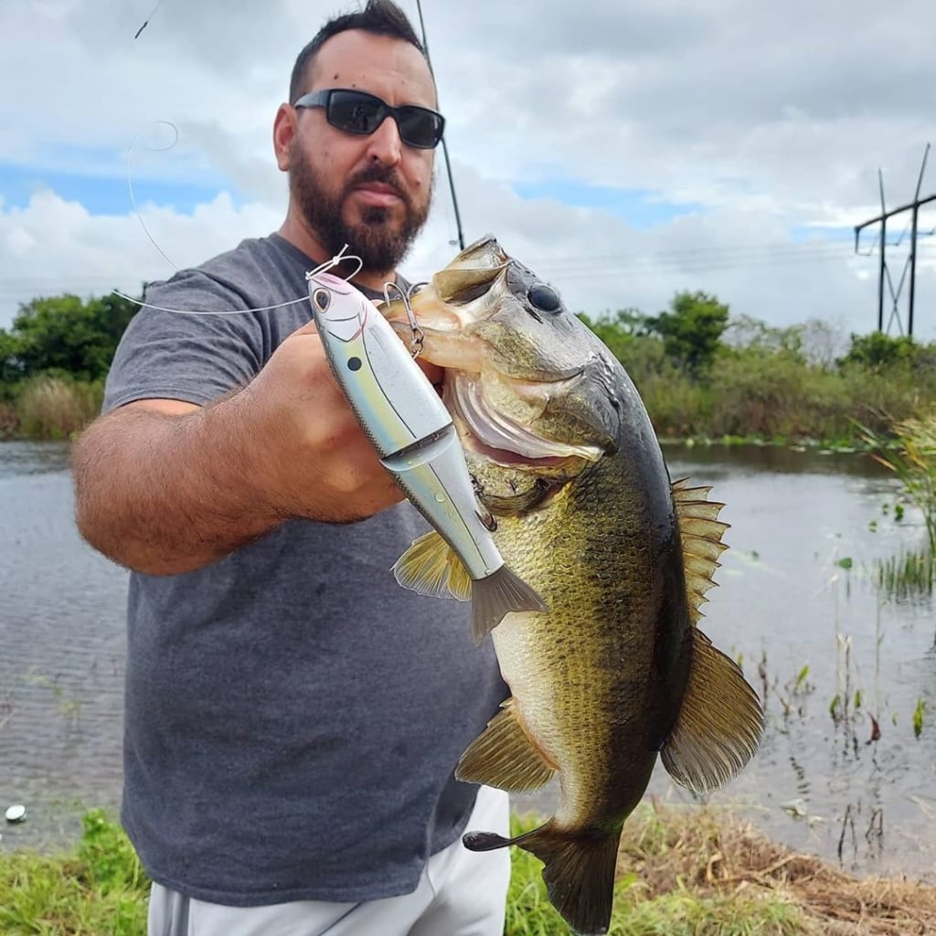 A Guide to Fishing in Anna Maria Island