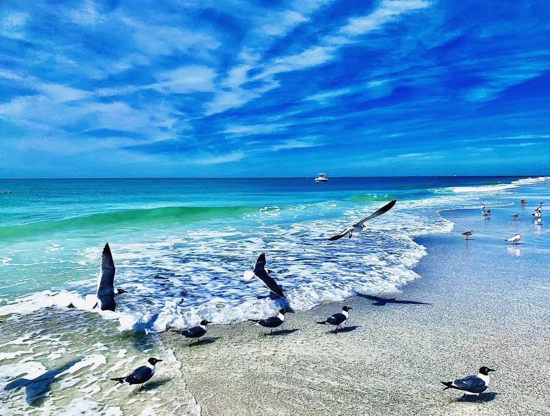 Pro Tips for Fall Fishing on Anna Maria Island - Beach Retreats